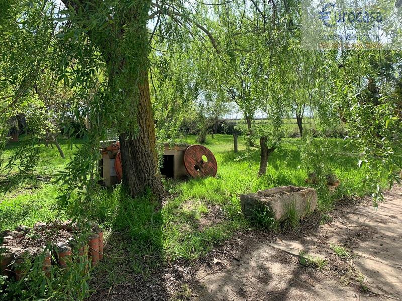 For sale of  in Zamora