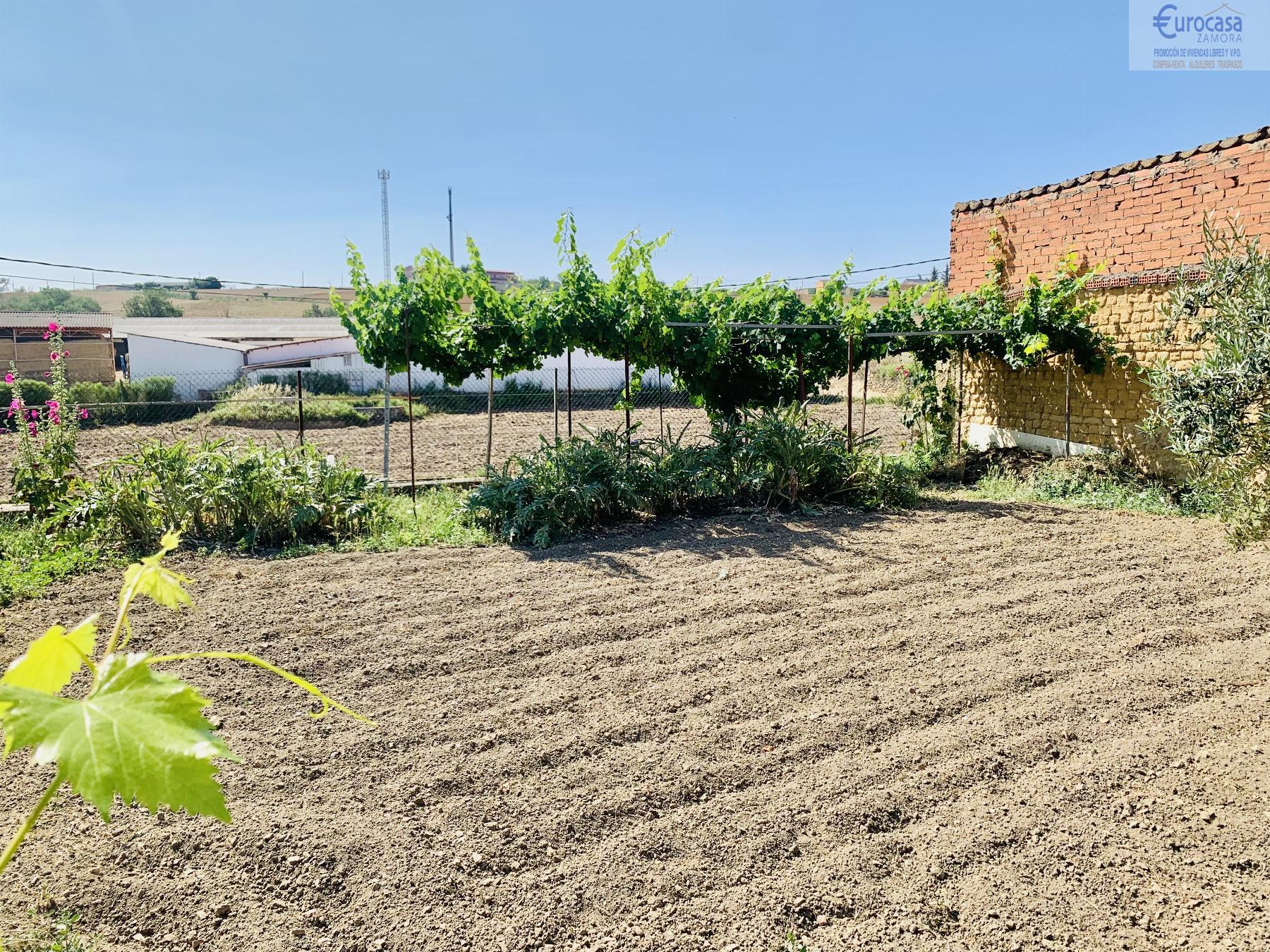 For sale of house in Morales del Vino