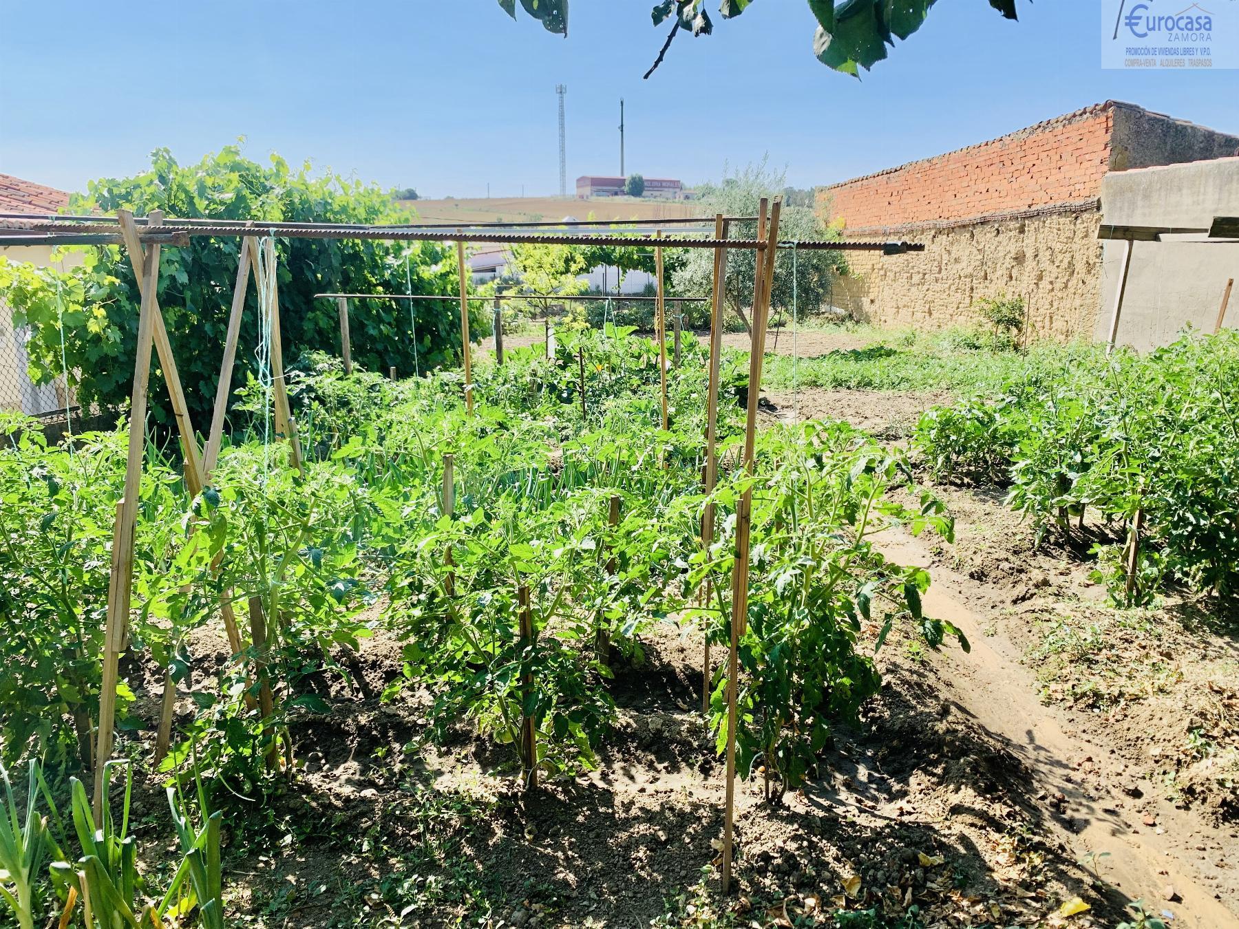 Venta de casa en Morales del Vino