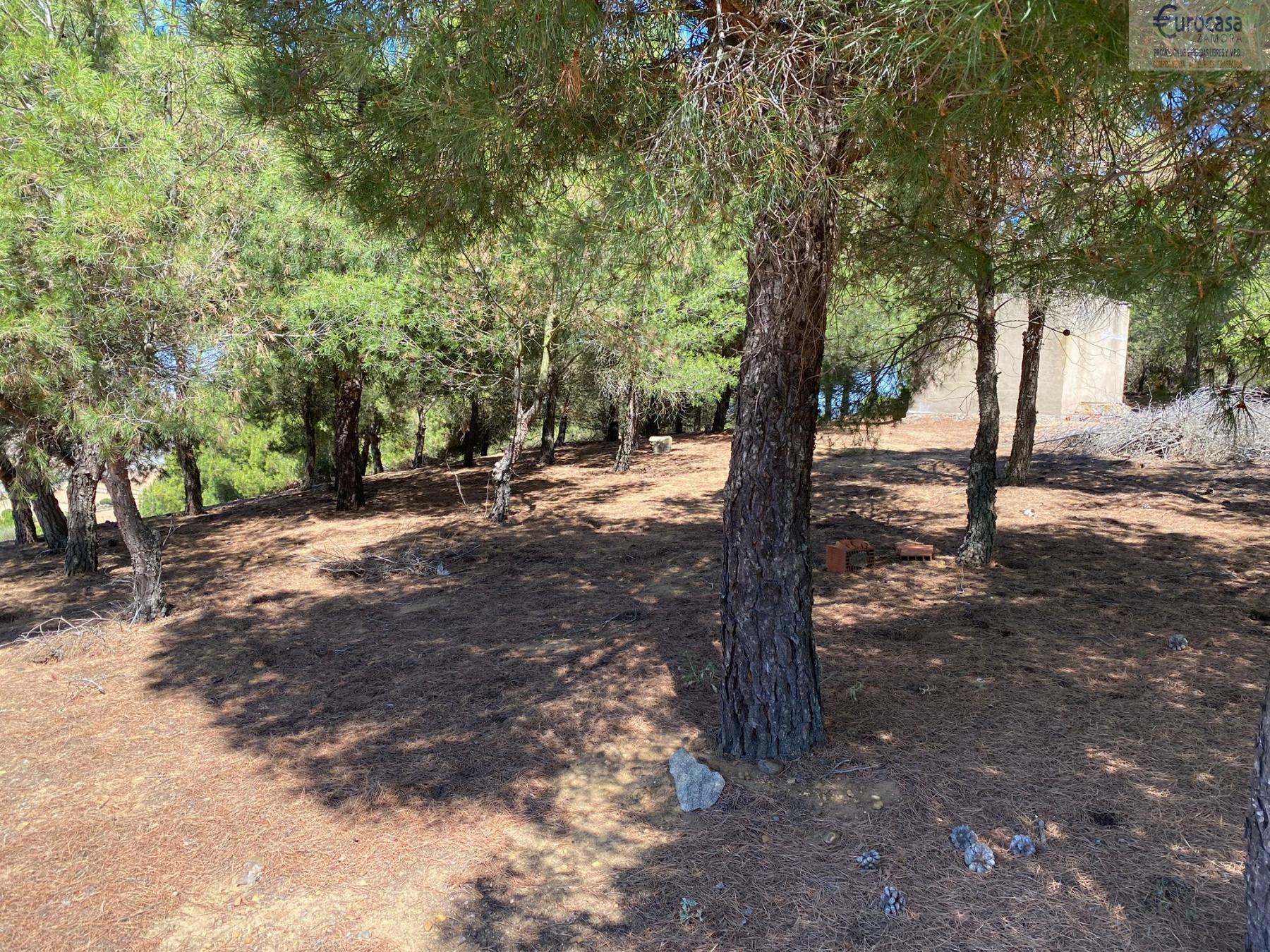 Venta de chalet en Coreses