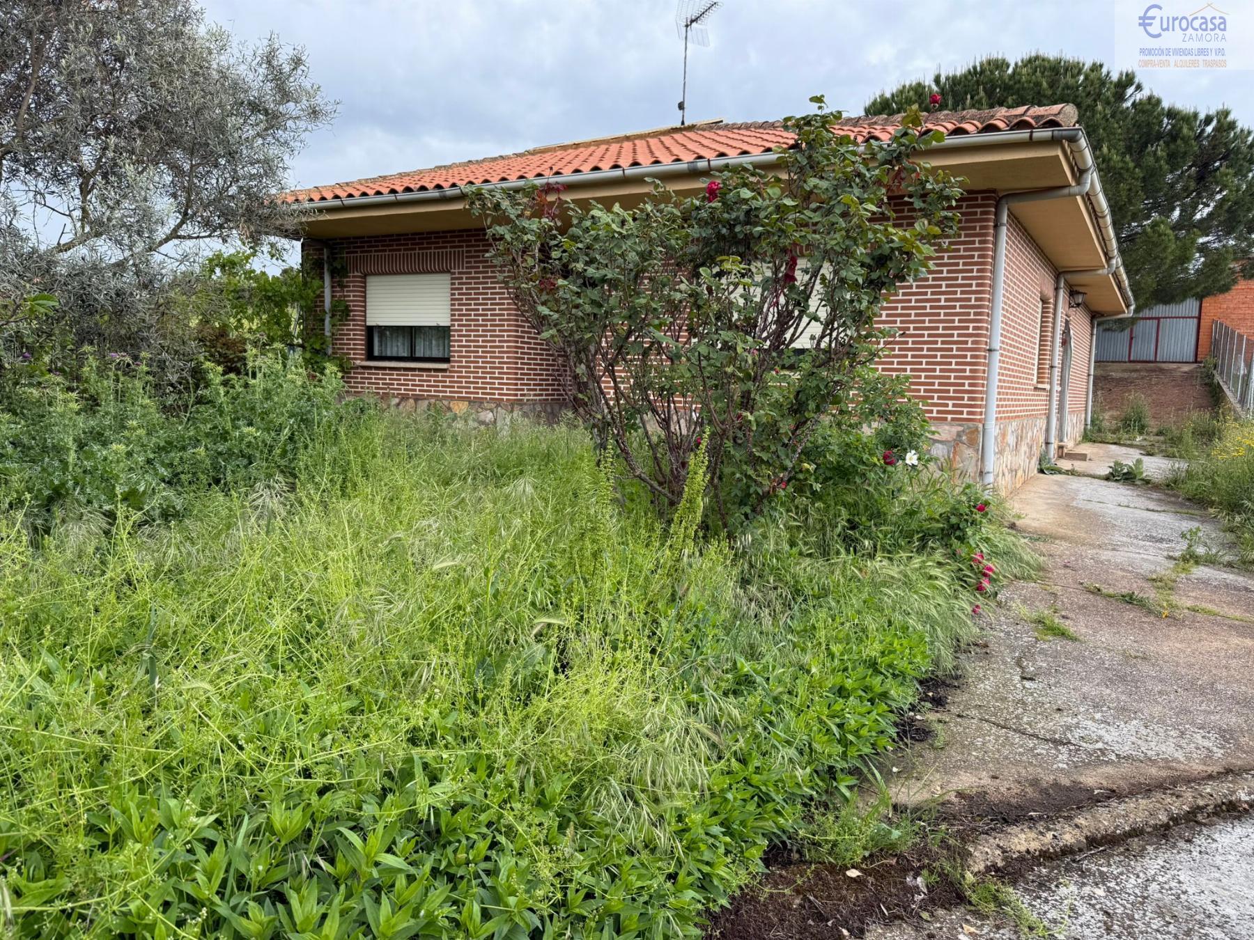Venta de chalet en San Pedro de la Nave