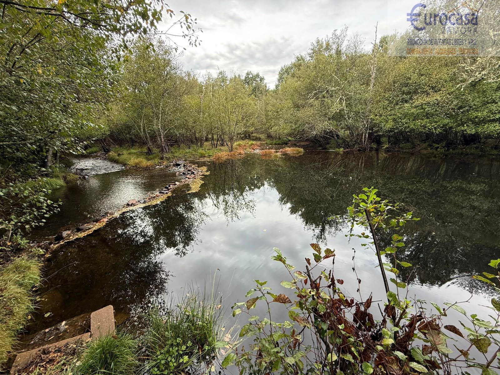 Venta de casa en Asturianos