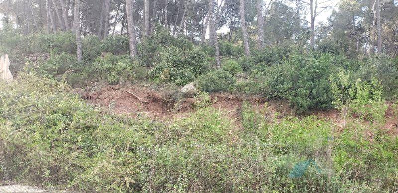 Venta de piso en Corbera De Llobregat