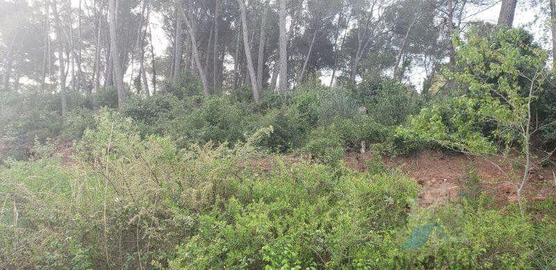 Venta de piso en Corbera De Llobregat