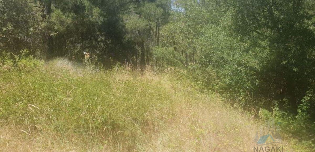 Venta de piso en Cadalso De Los Vidrios