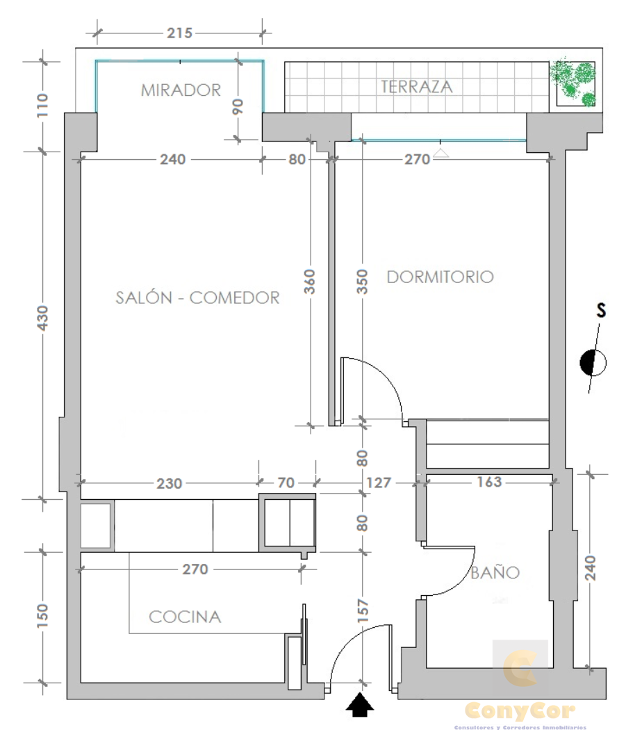 Plano