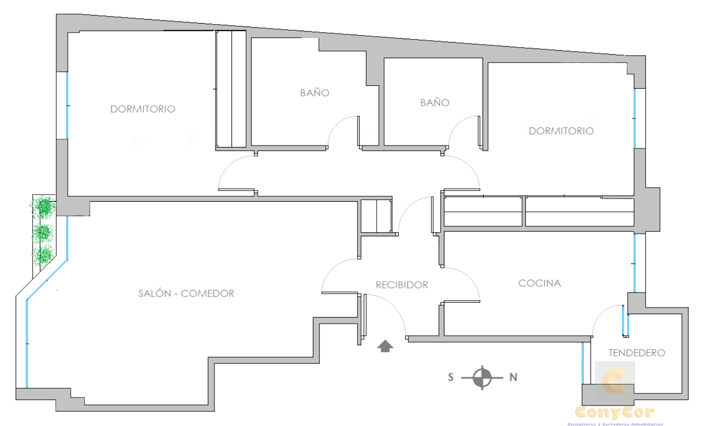 Plano Plano