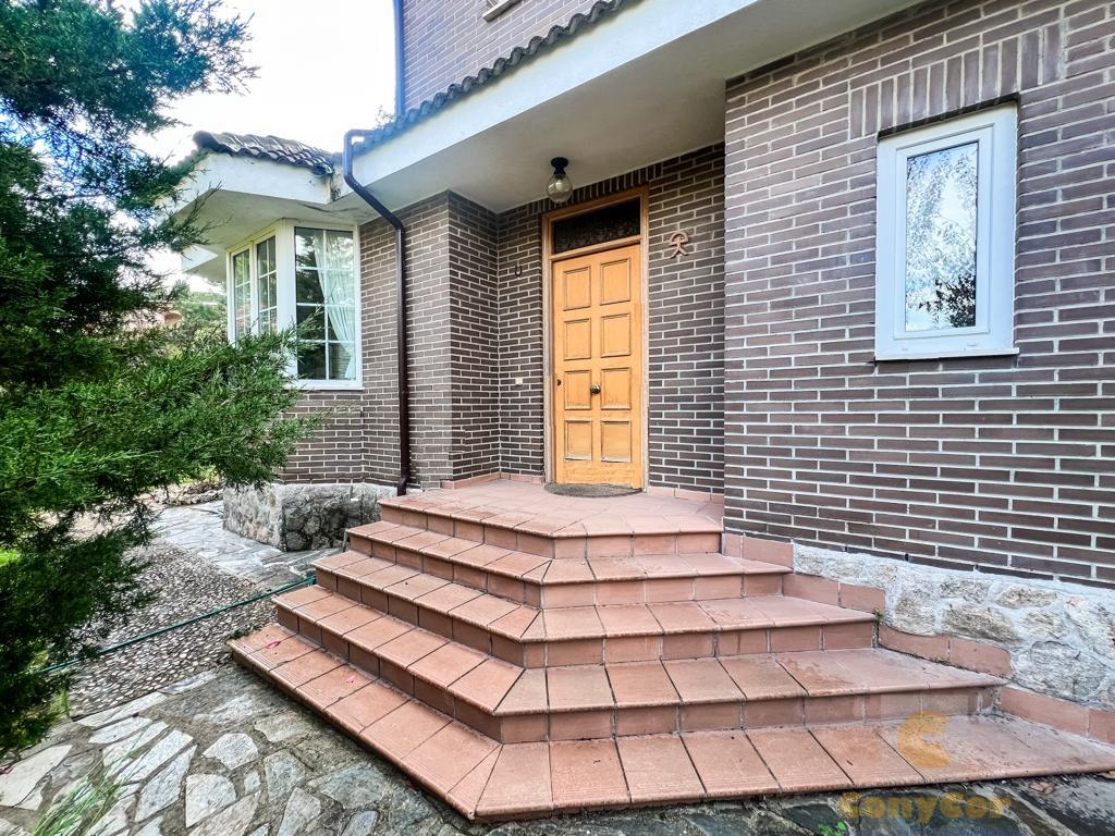 Entry/Exit