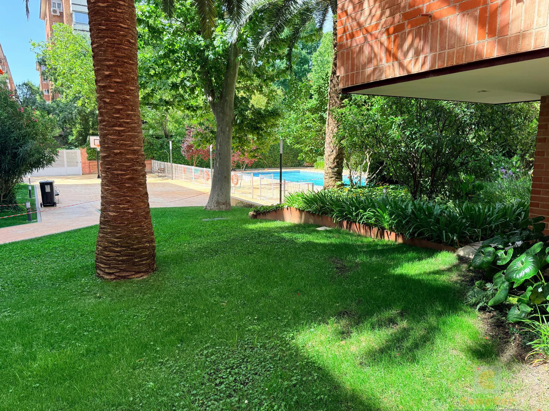 Jardín