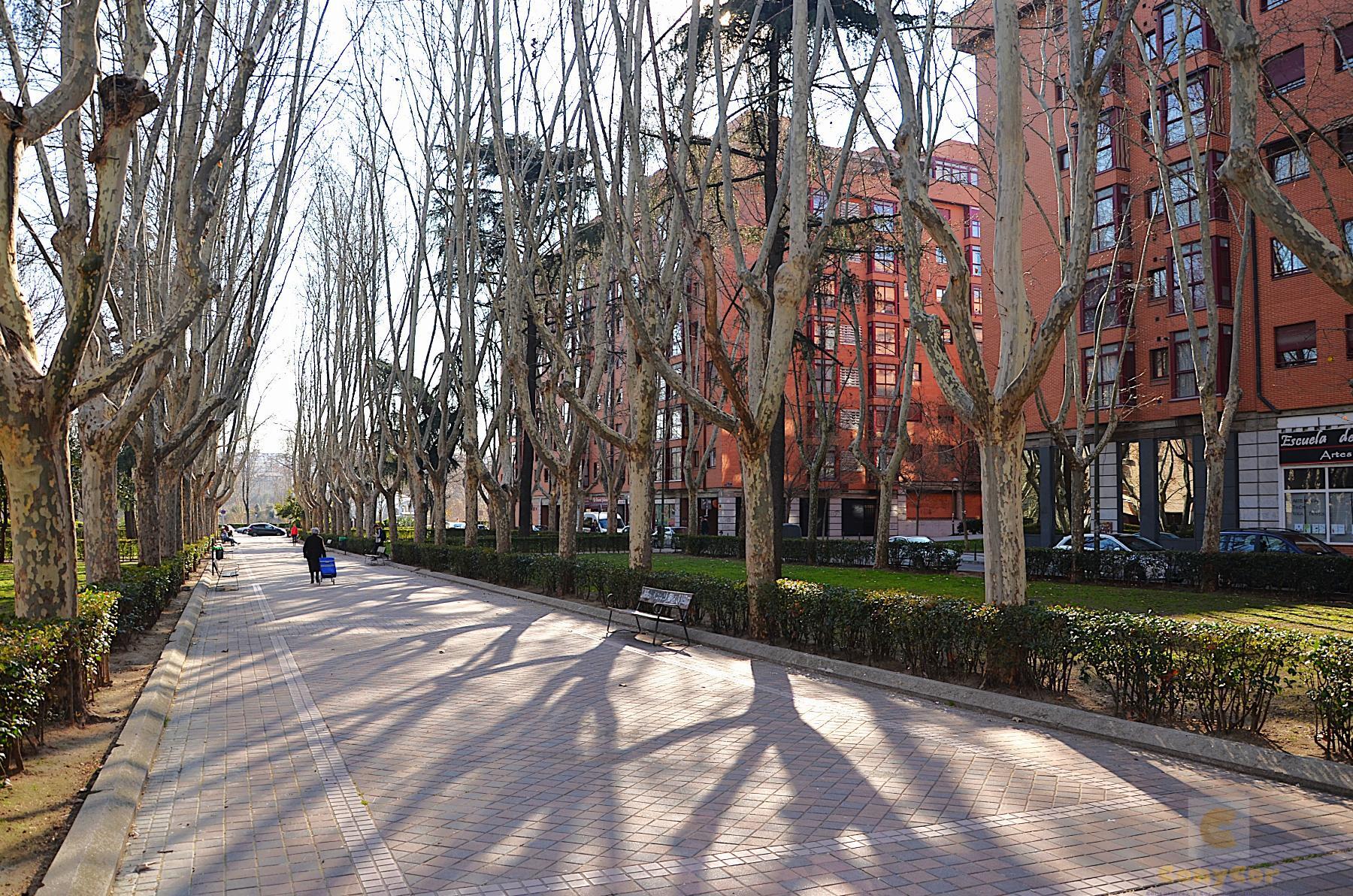 Alrededores