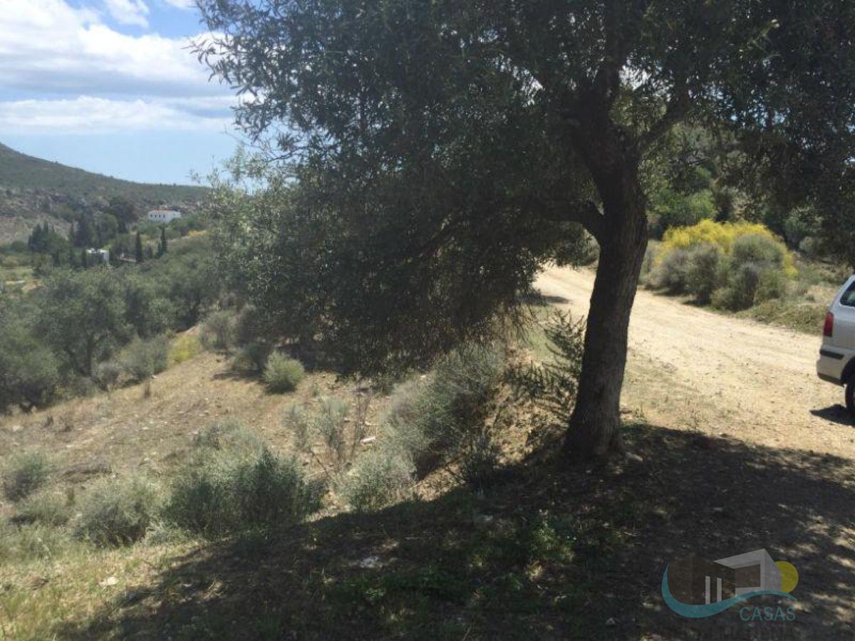 Venta de terreno en Cártama