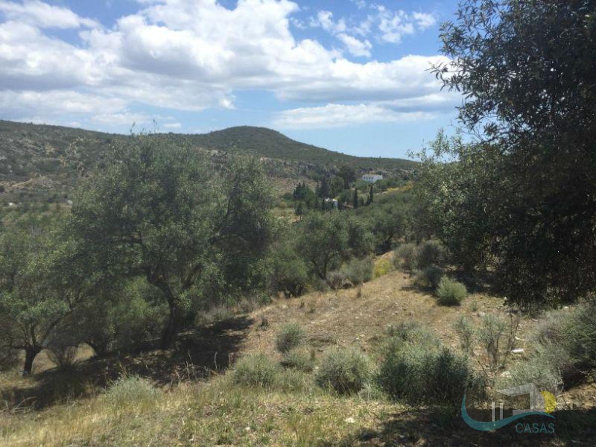 Venta de terreno en Cártama