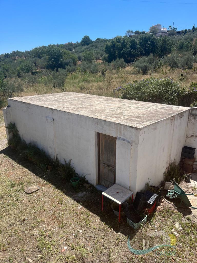 Venta de finca rústica en Casarabonela