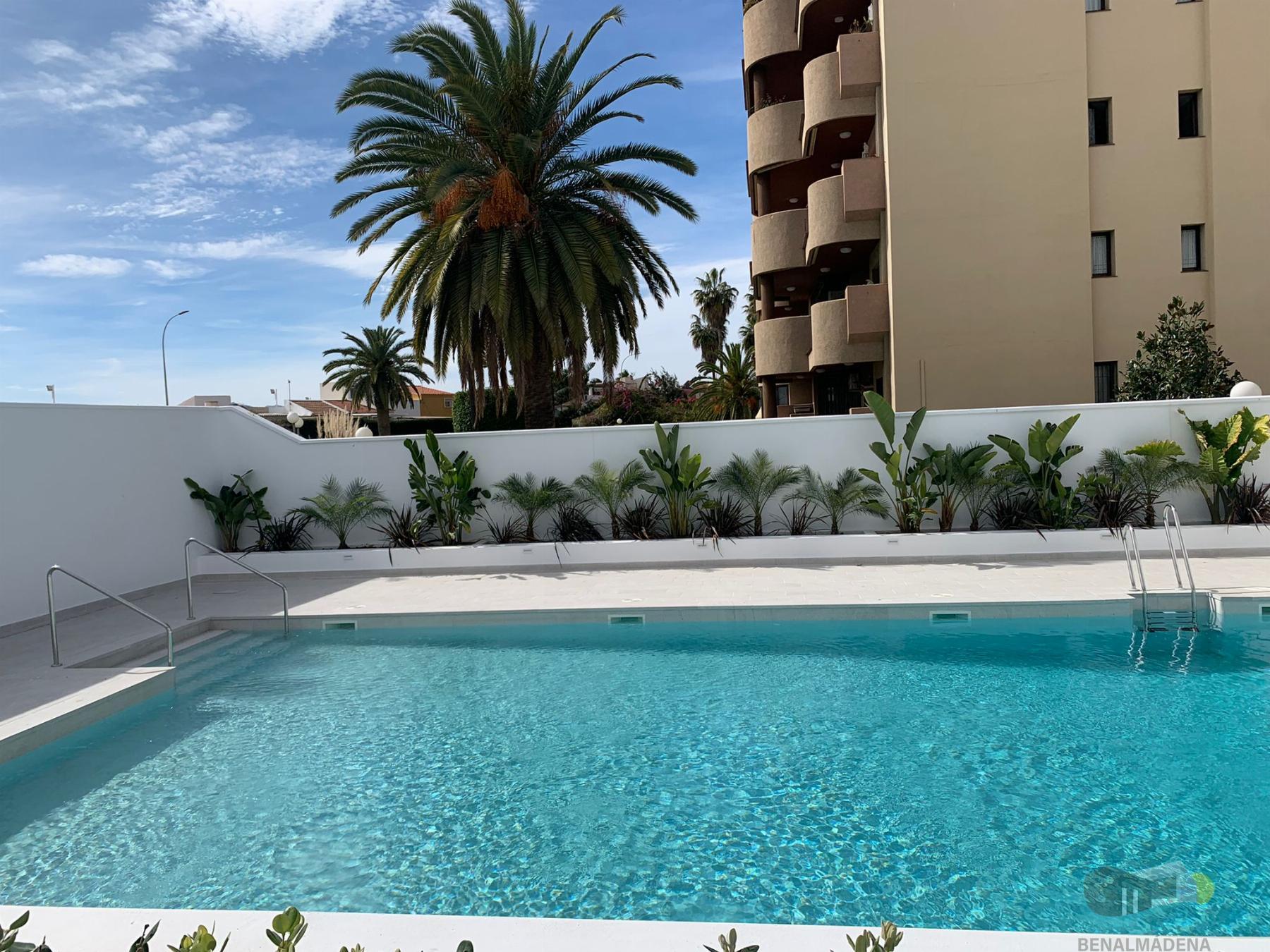 For rent of flat in Málaga