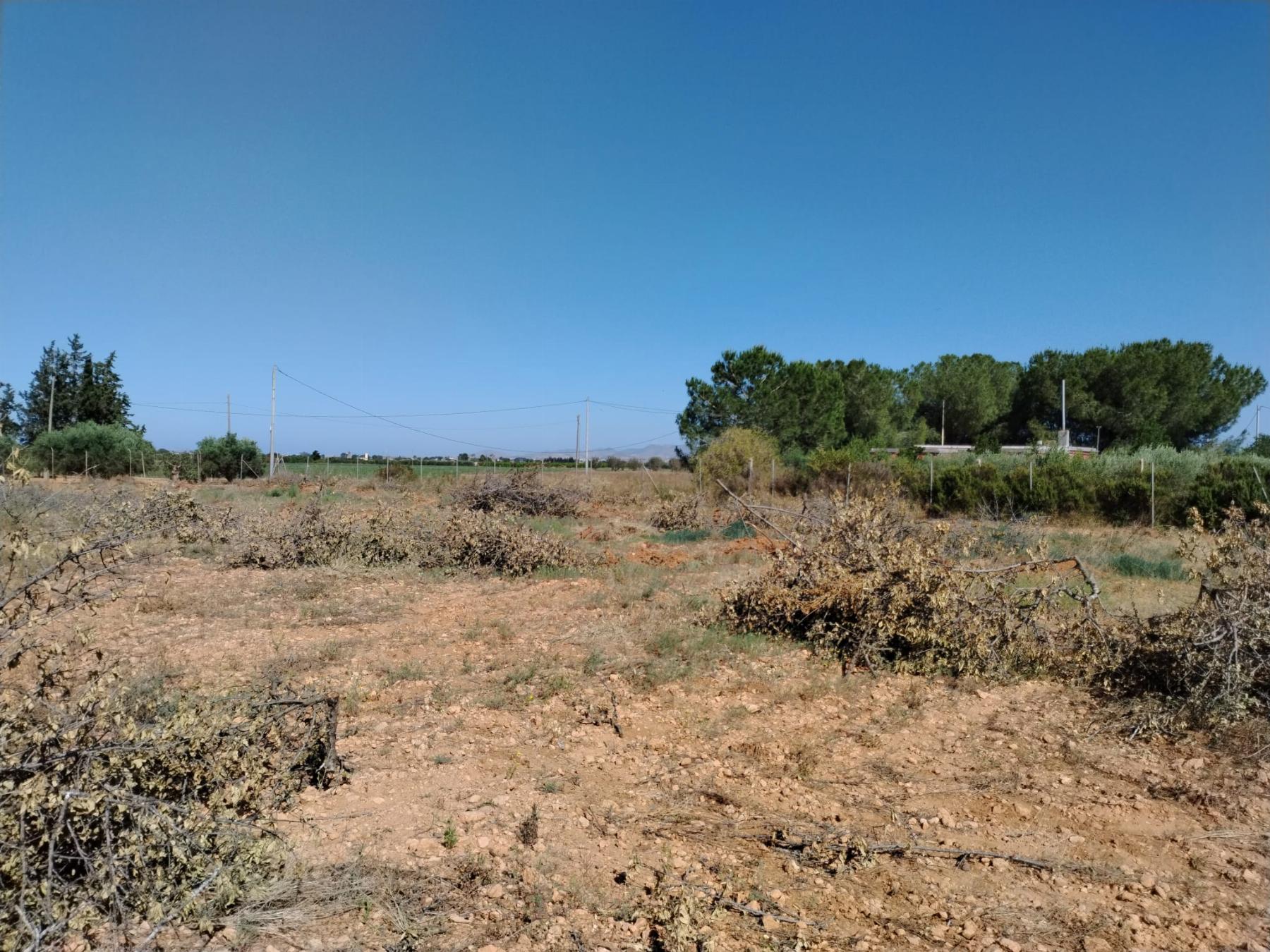 Venta de finca rústica en Cartagena