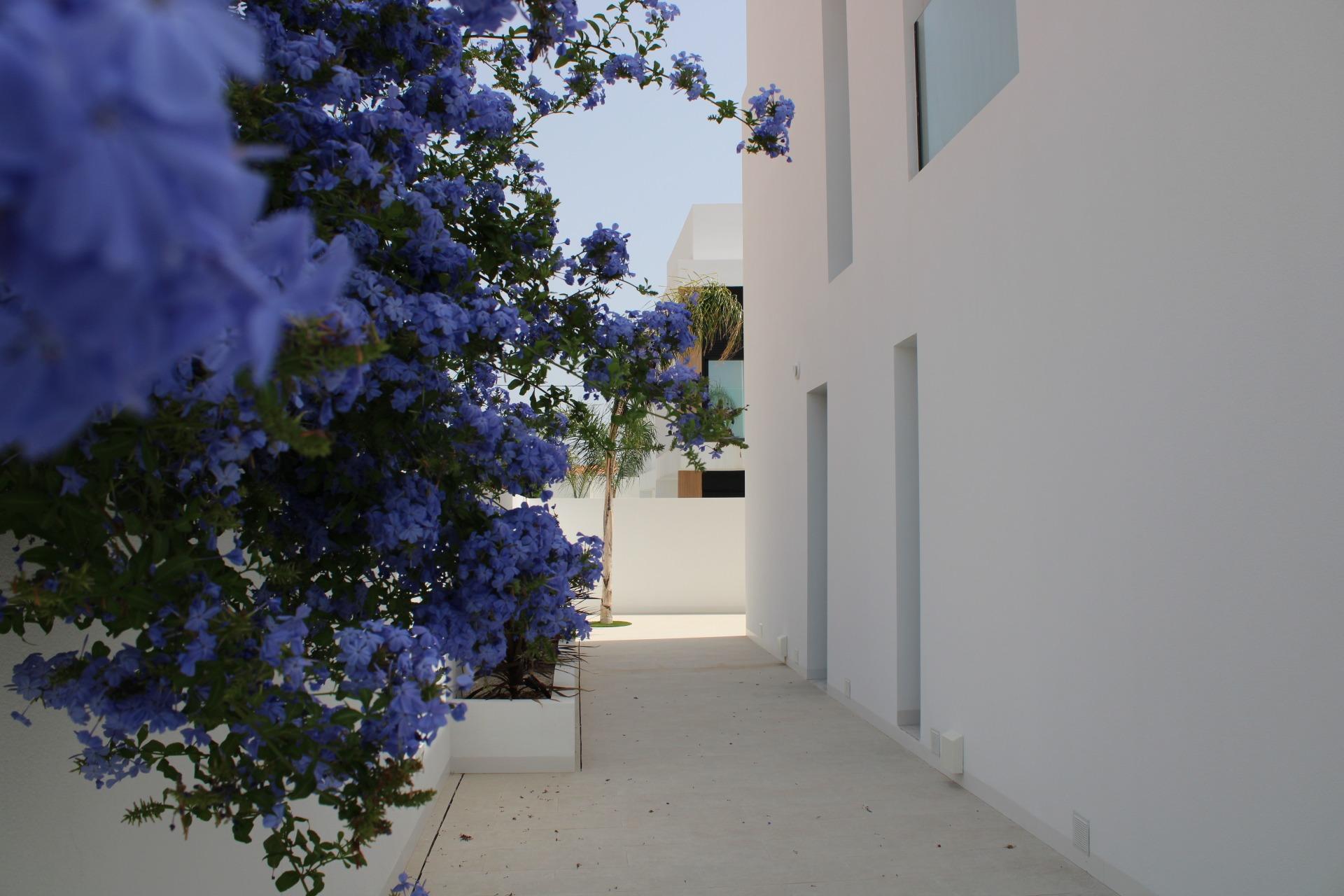 Venta de villa en Pilar de la Horadada