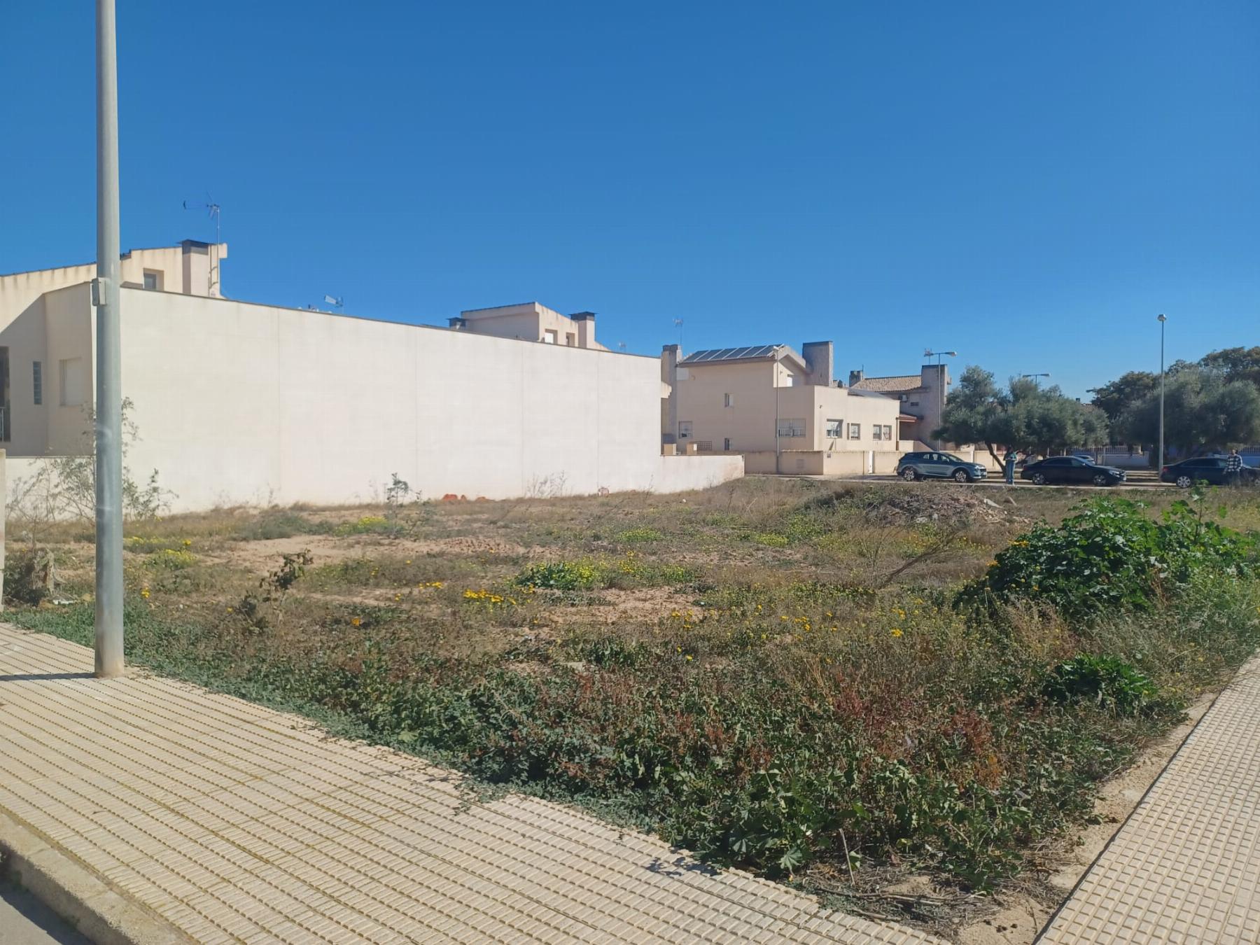 For sale of land in Cartagena