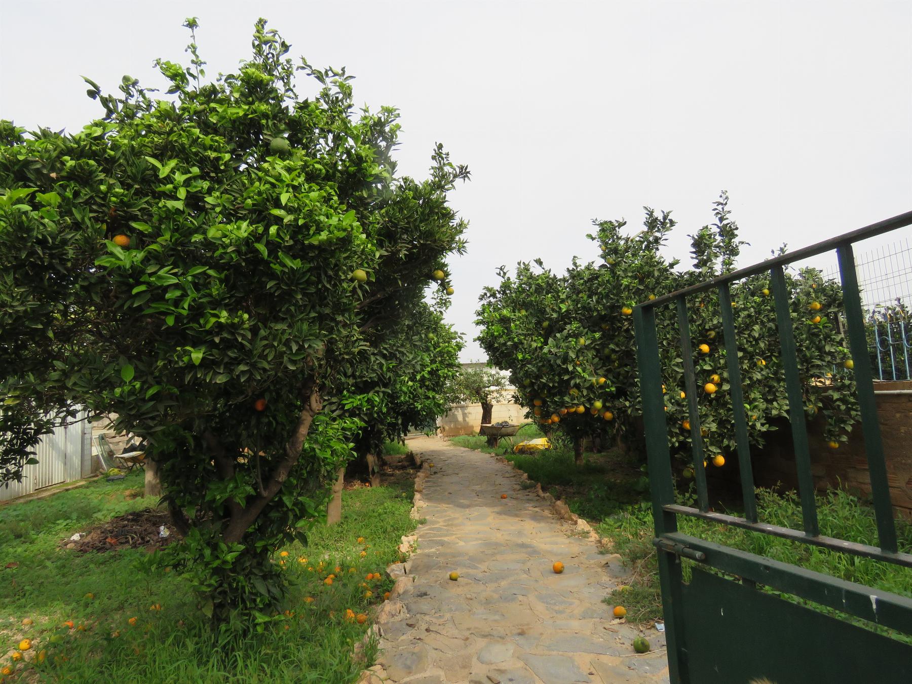 For sale of flat in Cartagena