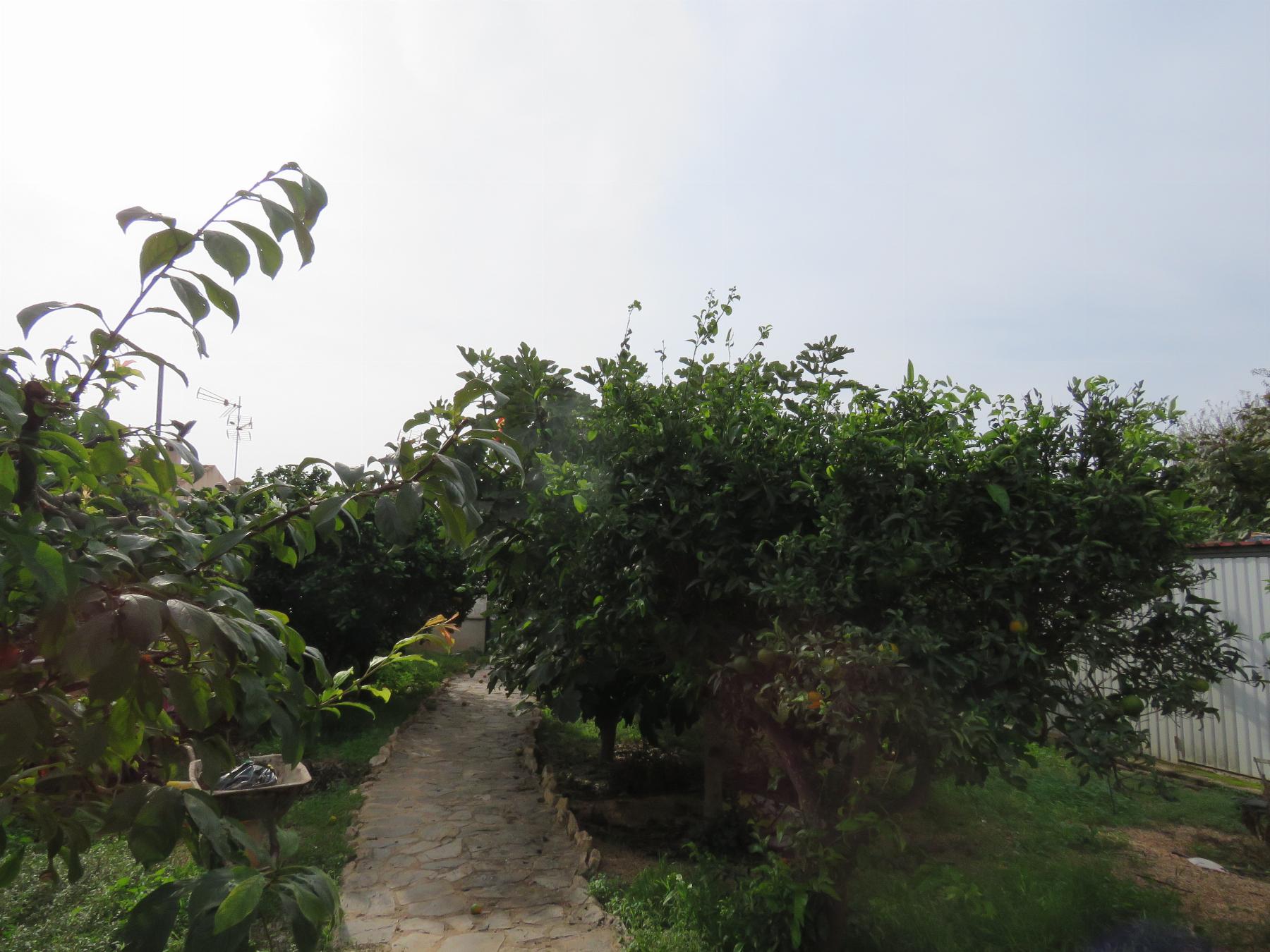 For sale of flat in Cartagena