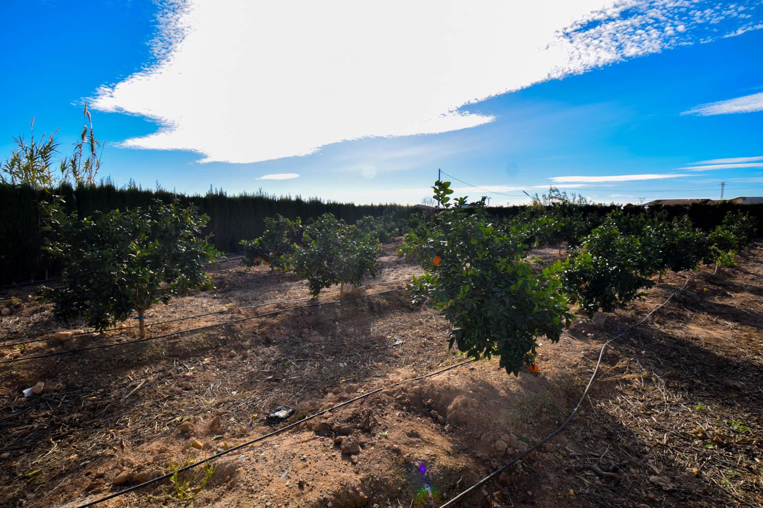 Venta de finca rústica en Cartagena