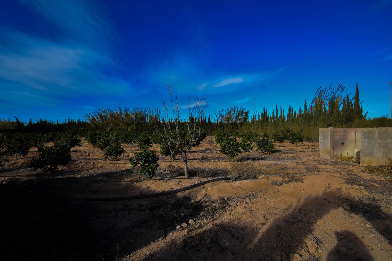 Venta de finca rústica en Cartagena