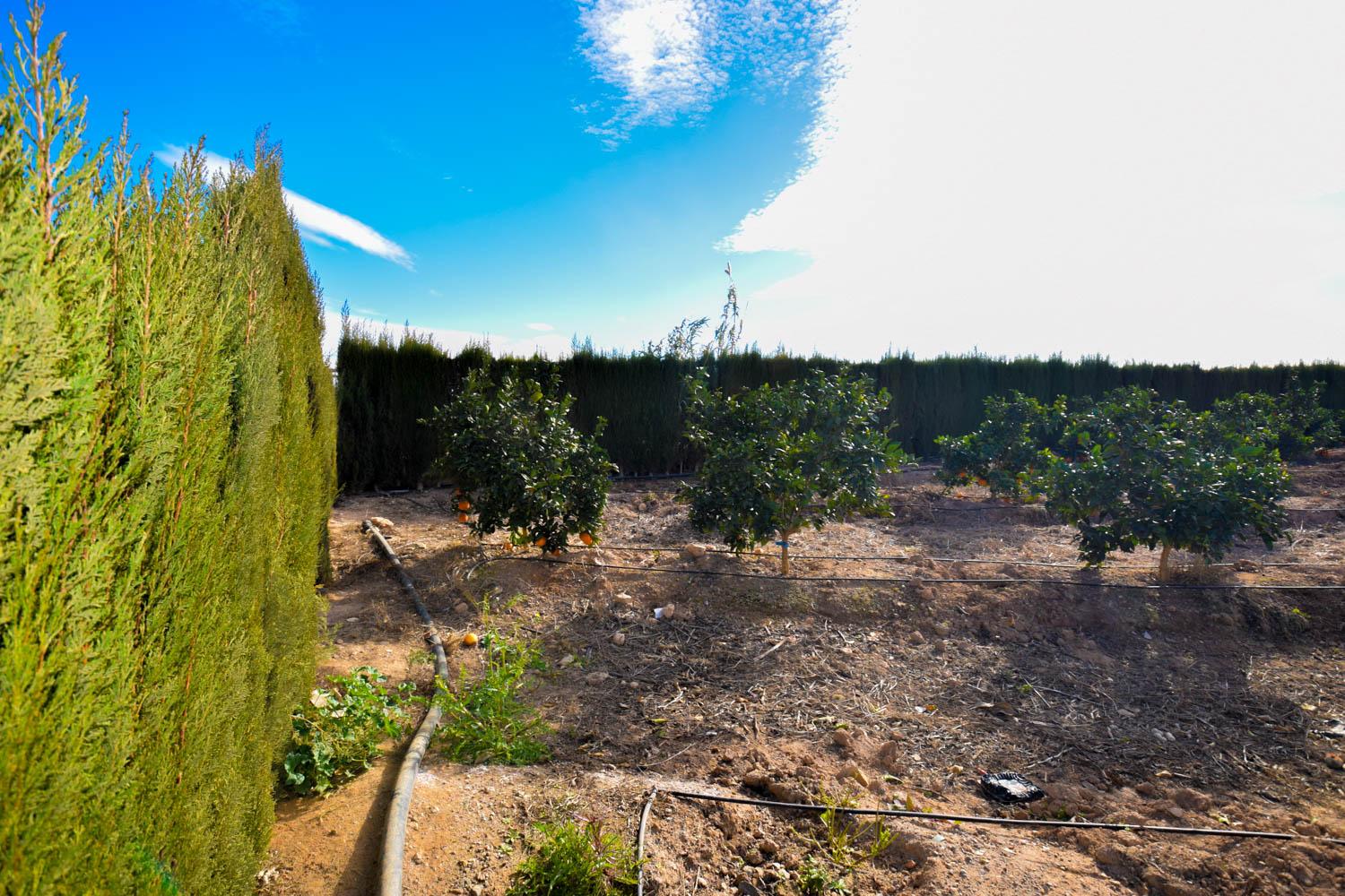 Venta de finca rústica en Cartagena