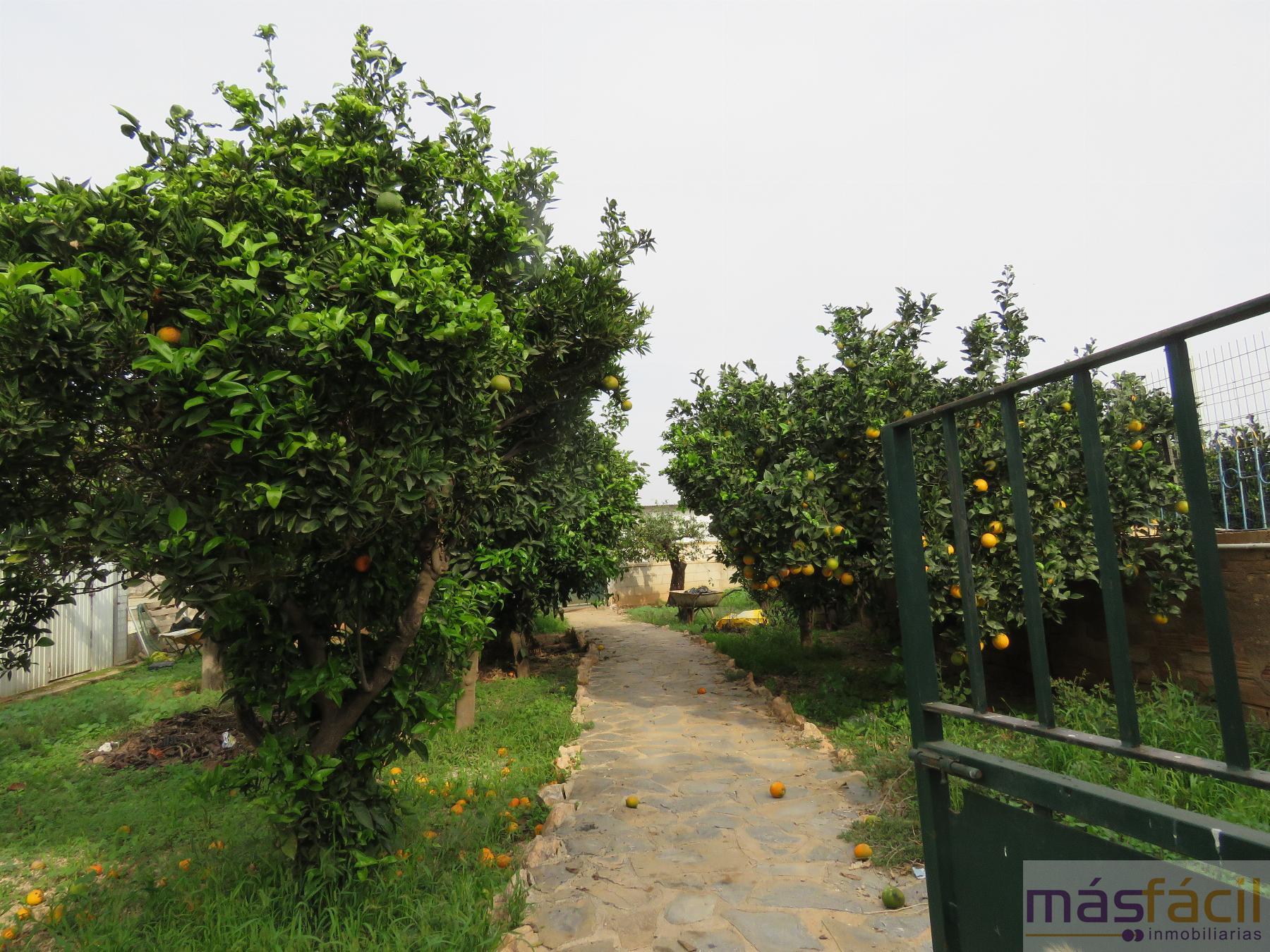 For sale of flat in Cartagena