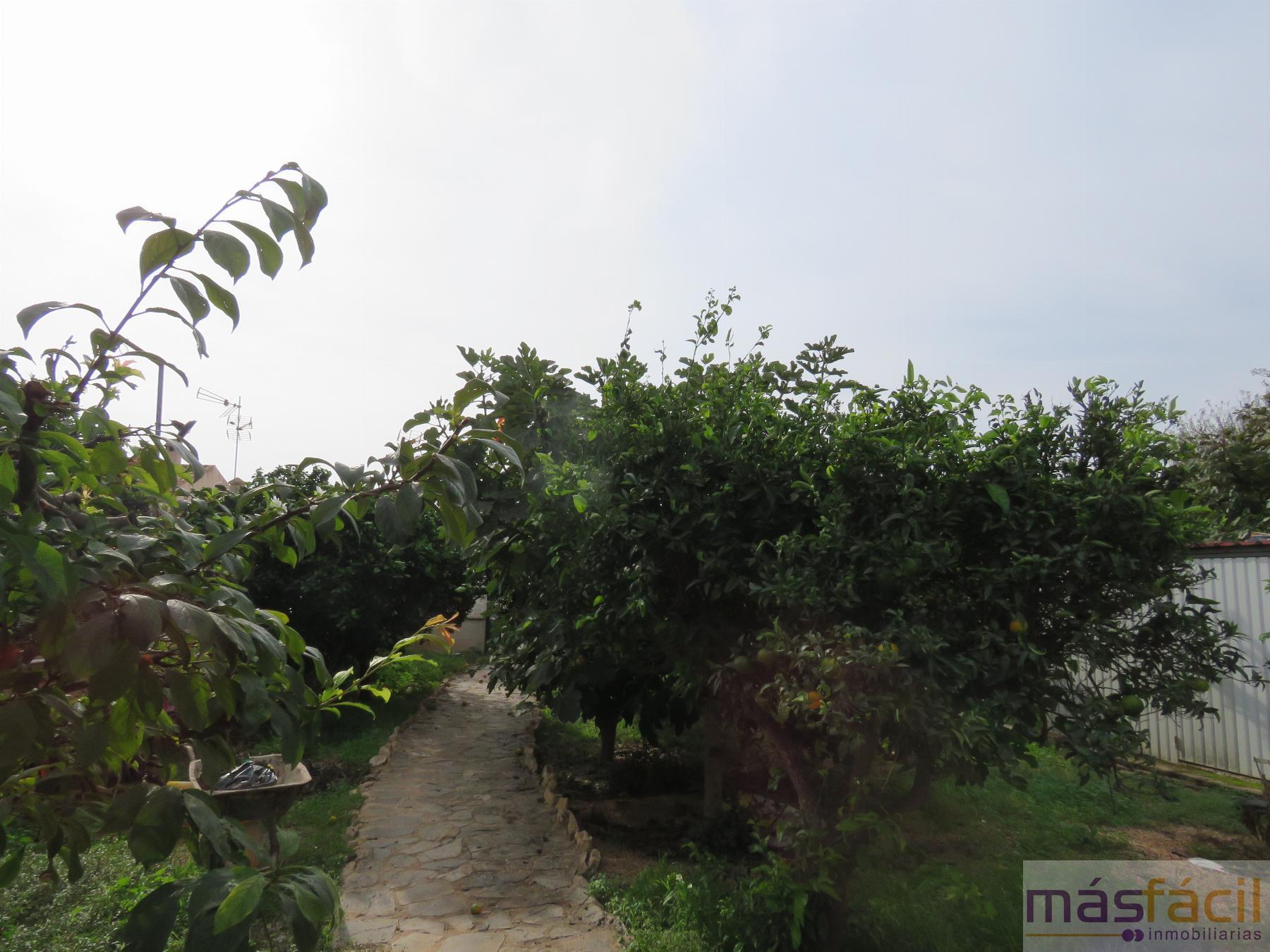 For sale of flat in Cartagena