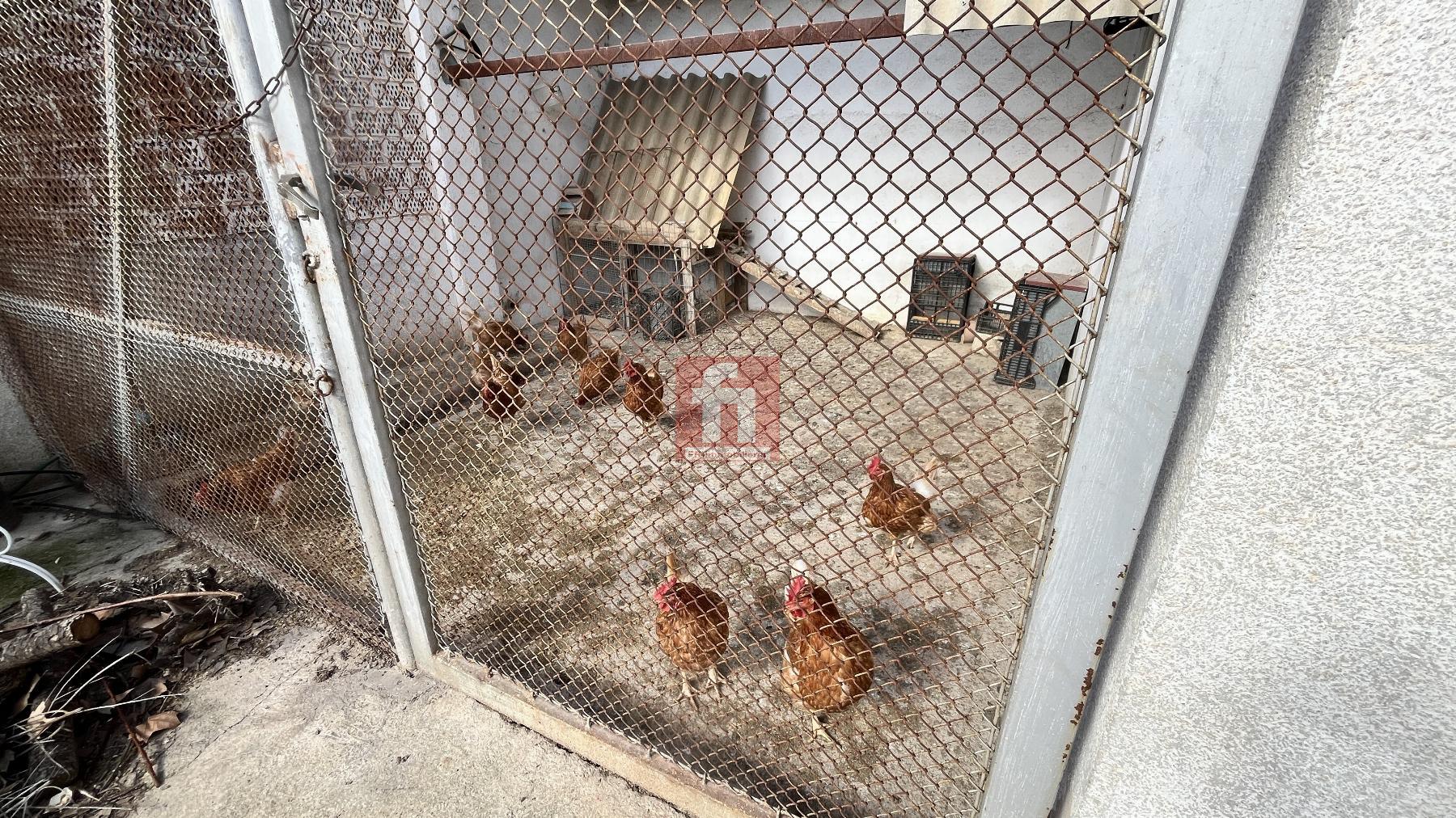 Venta de masía en Santa Margarida i els Monjos