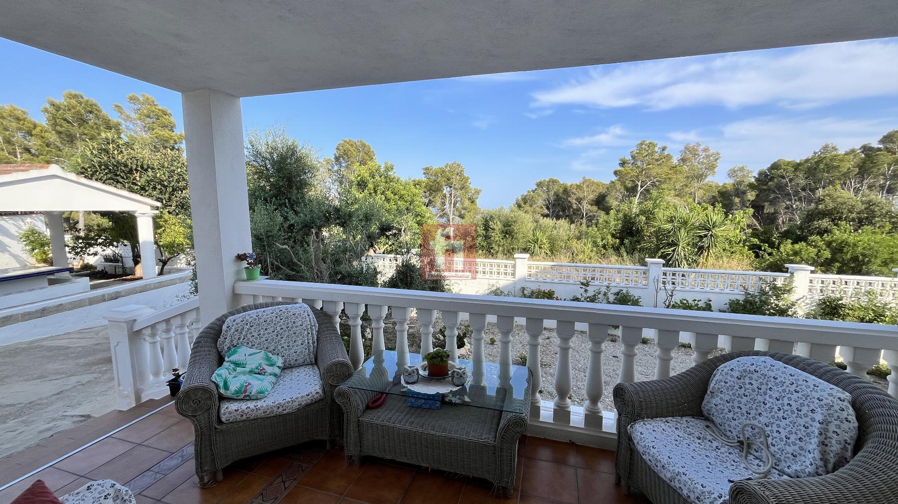 Terraza