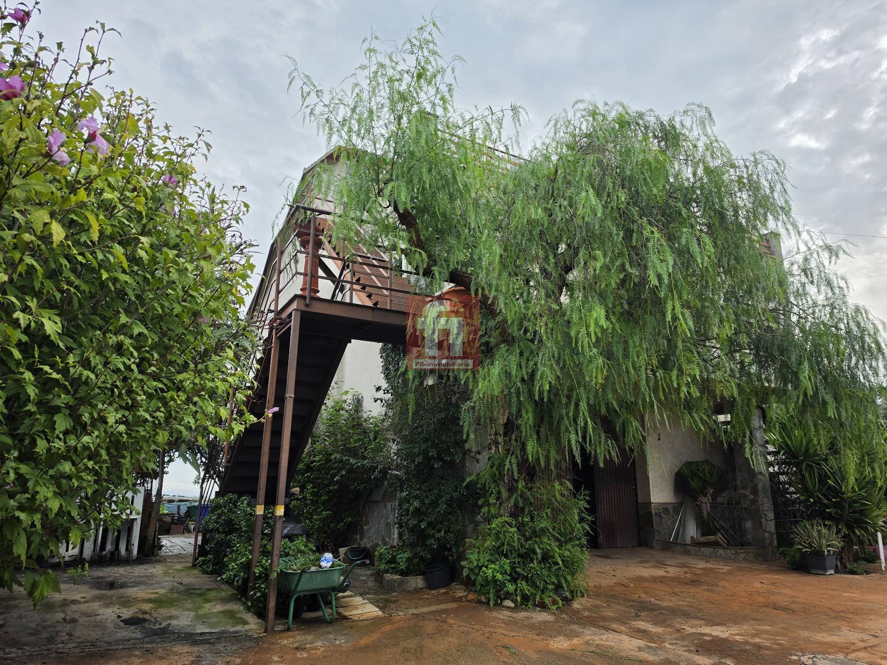Escalera