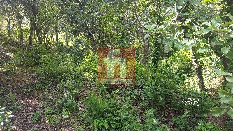 Köp av marken i Castellar del Vallès