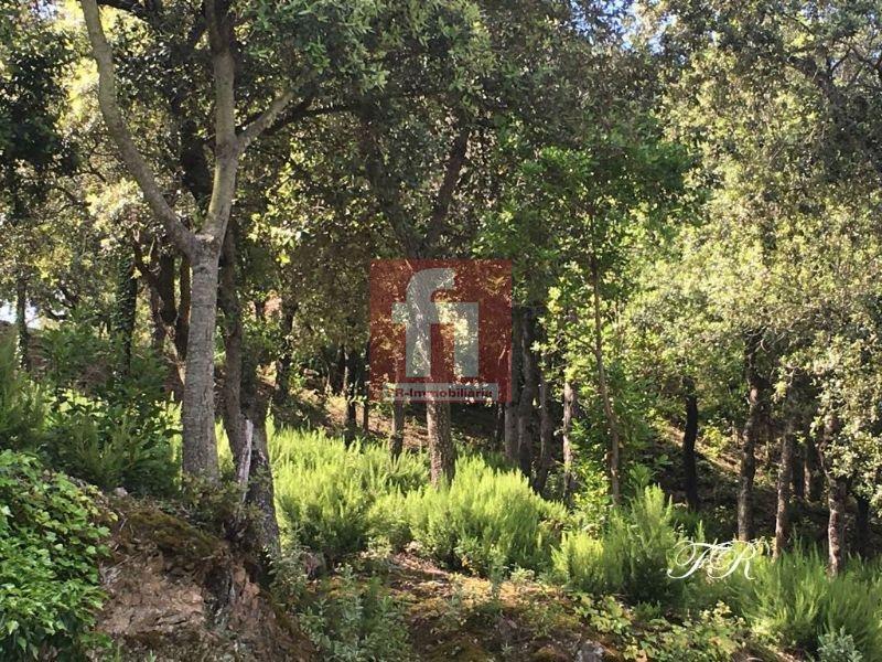 Köp av marken i Castellar del Vallès