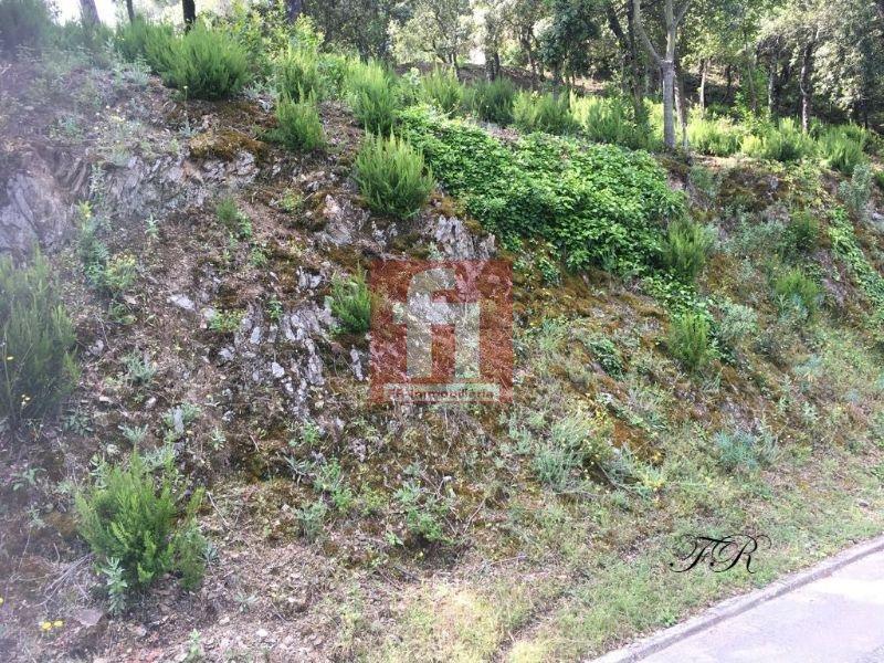 Köp av marken i Castellar del Vallès