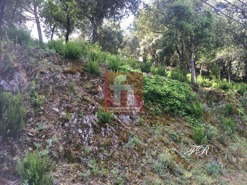 Salg av terreng i Castellar del Vallès