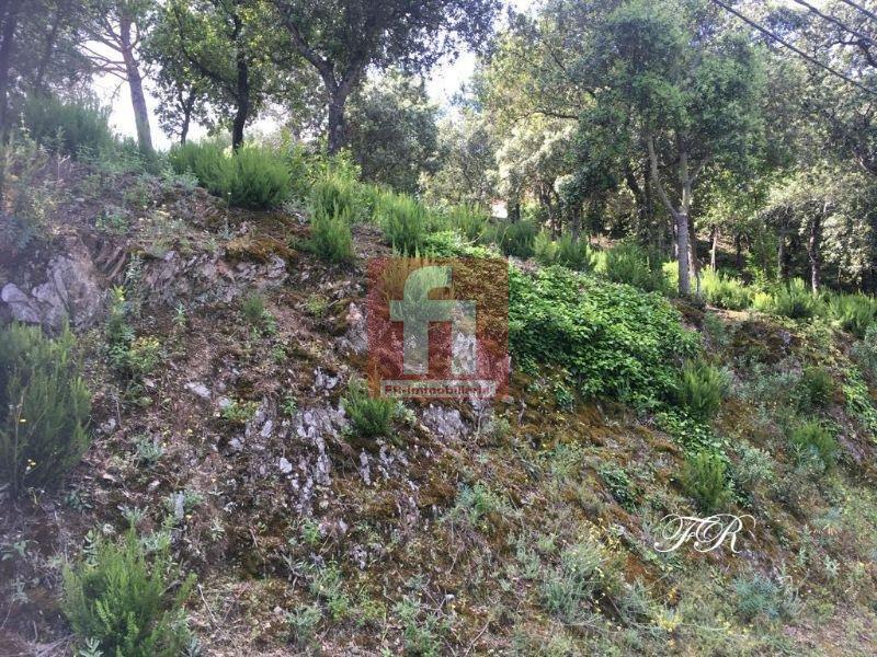 Köp av marken i Castellar del Vallès