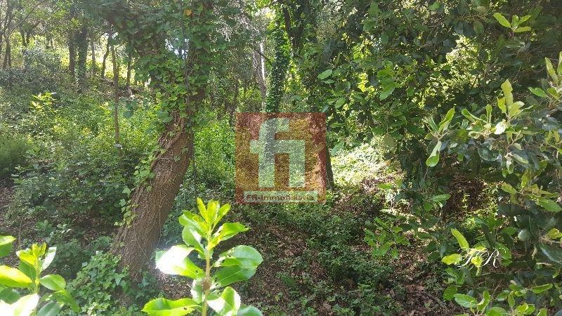 Köp av marken i Castellar del Vallès
