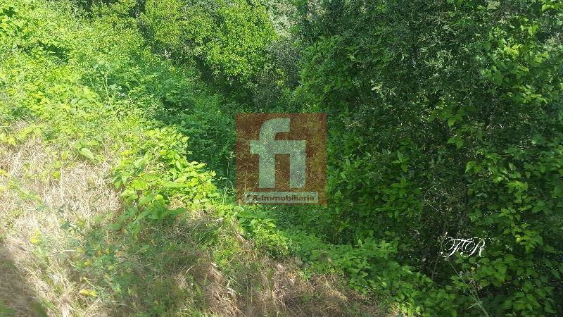 Köp av marken i Castellar del Vallès