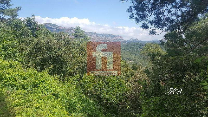 Köp av marken i Castellar del Vallès