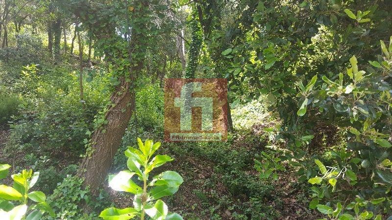 Köp av marken i Castellar del Vallès