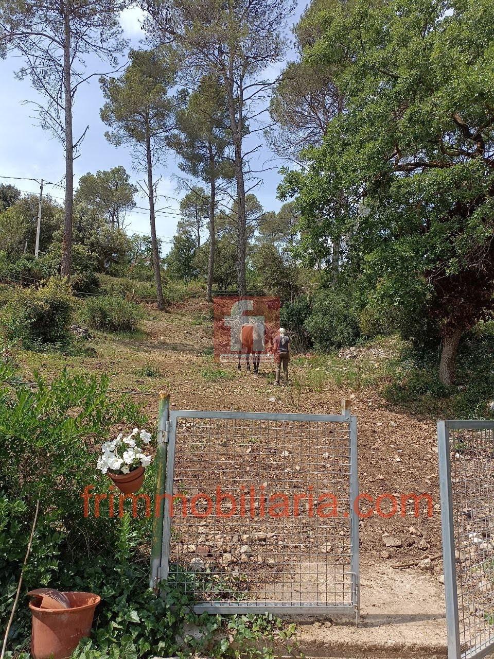 For rent of ground floor in La Torre de Claramunt