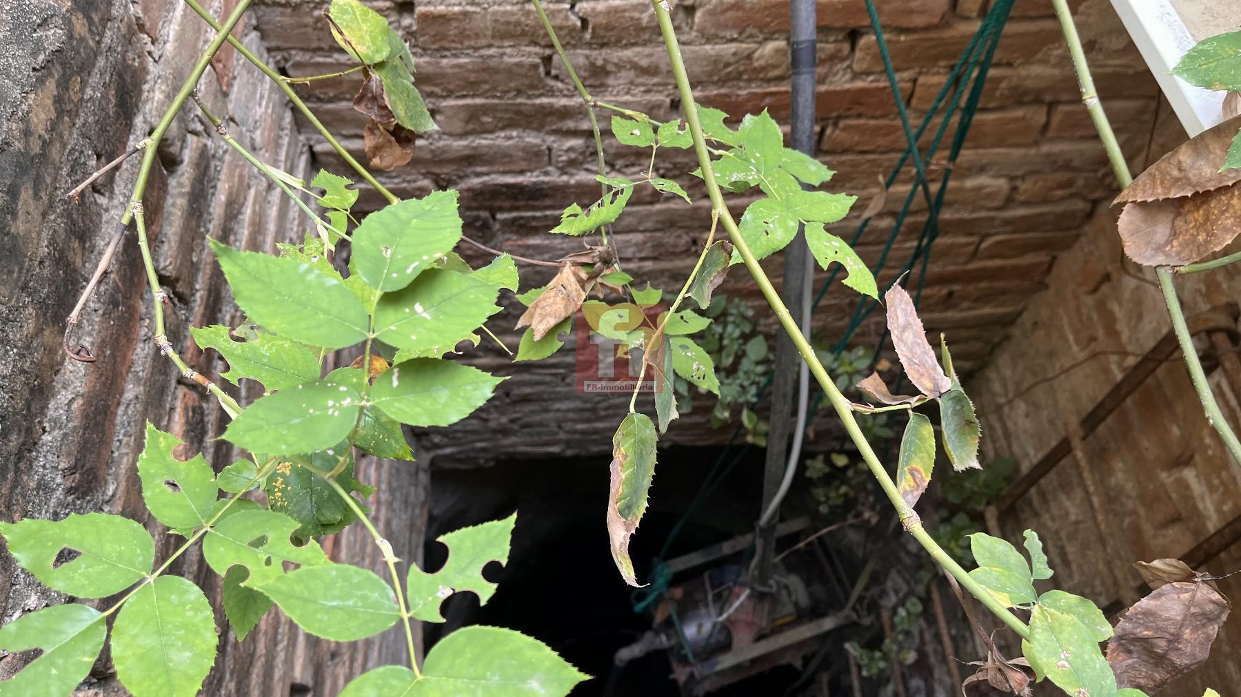 For sale of house in Arboç l