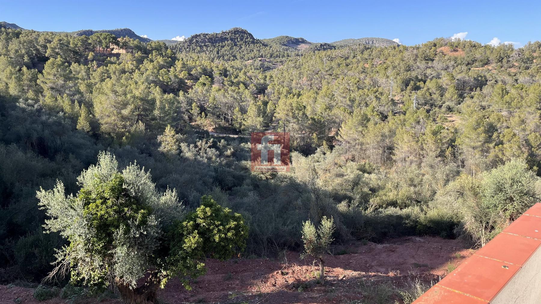 For sale of house in Falset