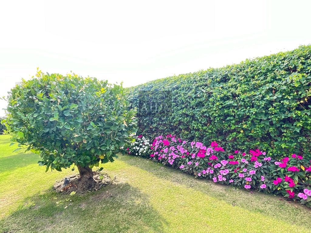 For sale of chalet in Estepona