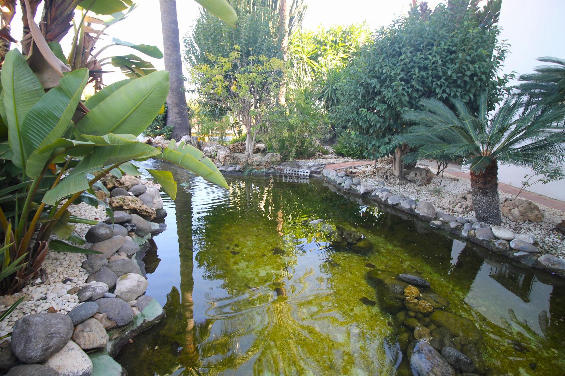For rent of flat in Estepona