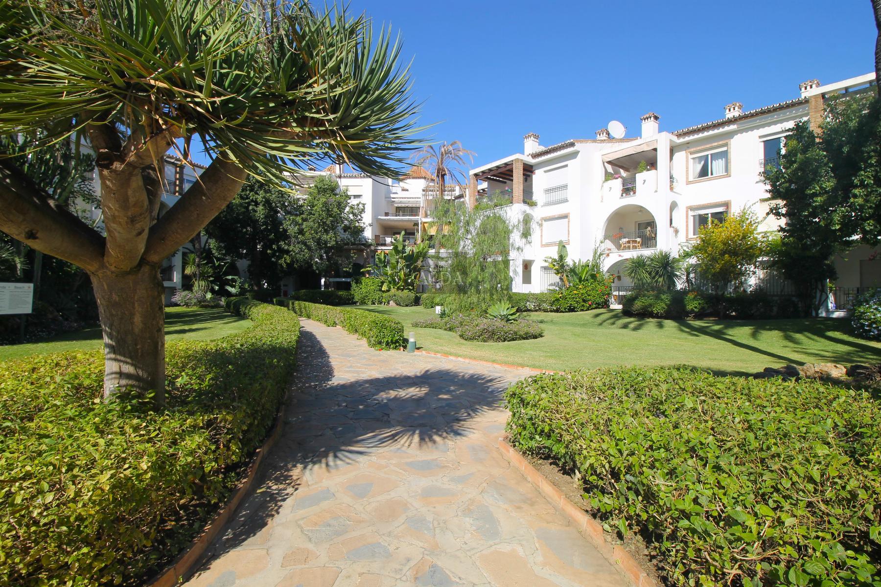 For rent of flat in Estepona