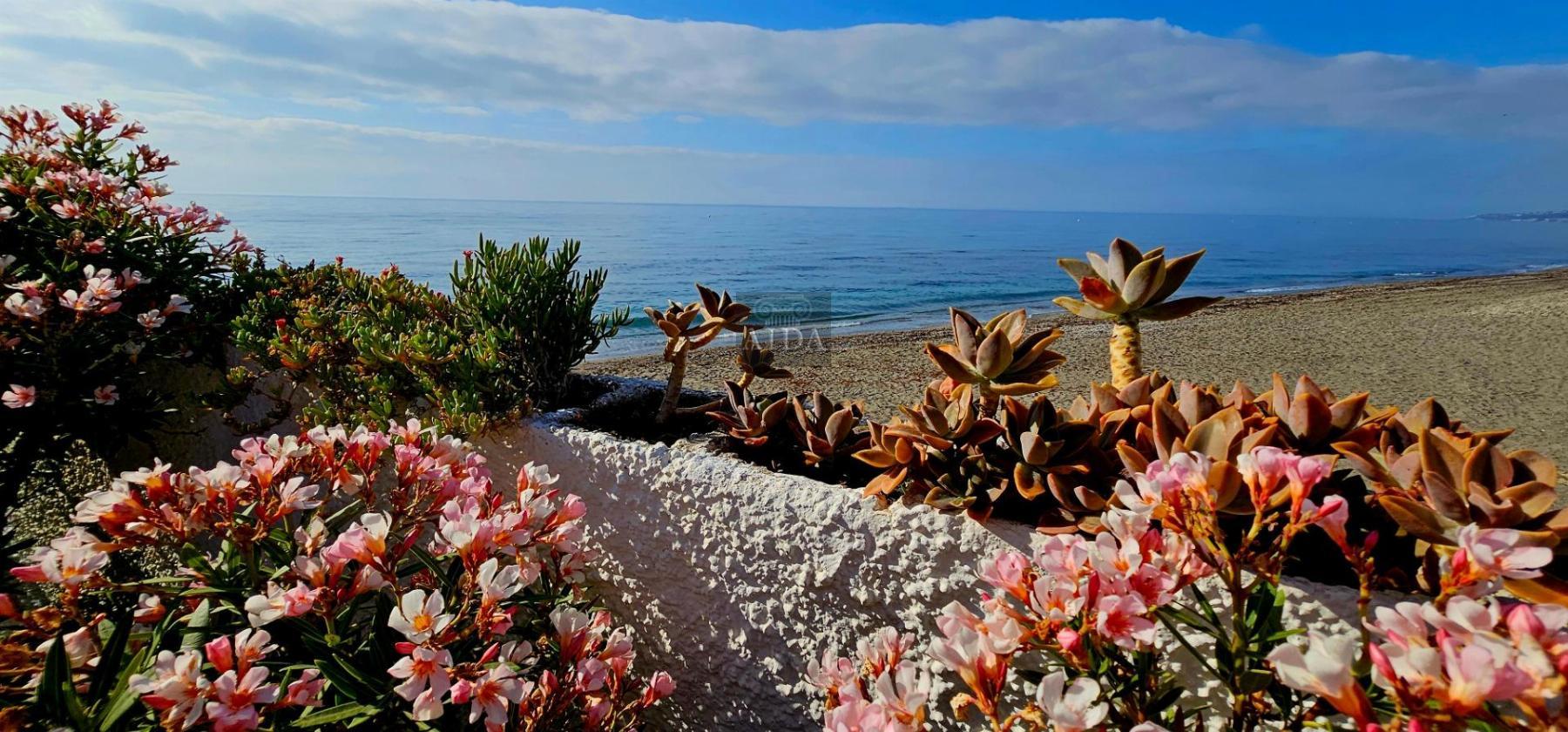 Venta de chalet en Estepona