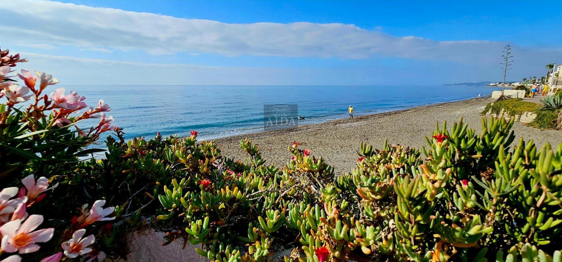 Venta de chalet en Estepona