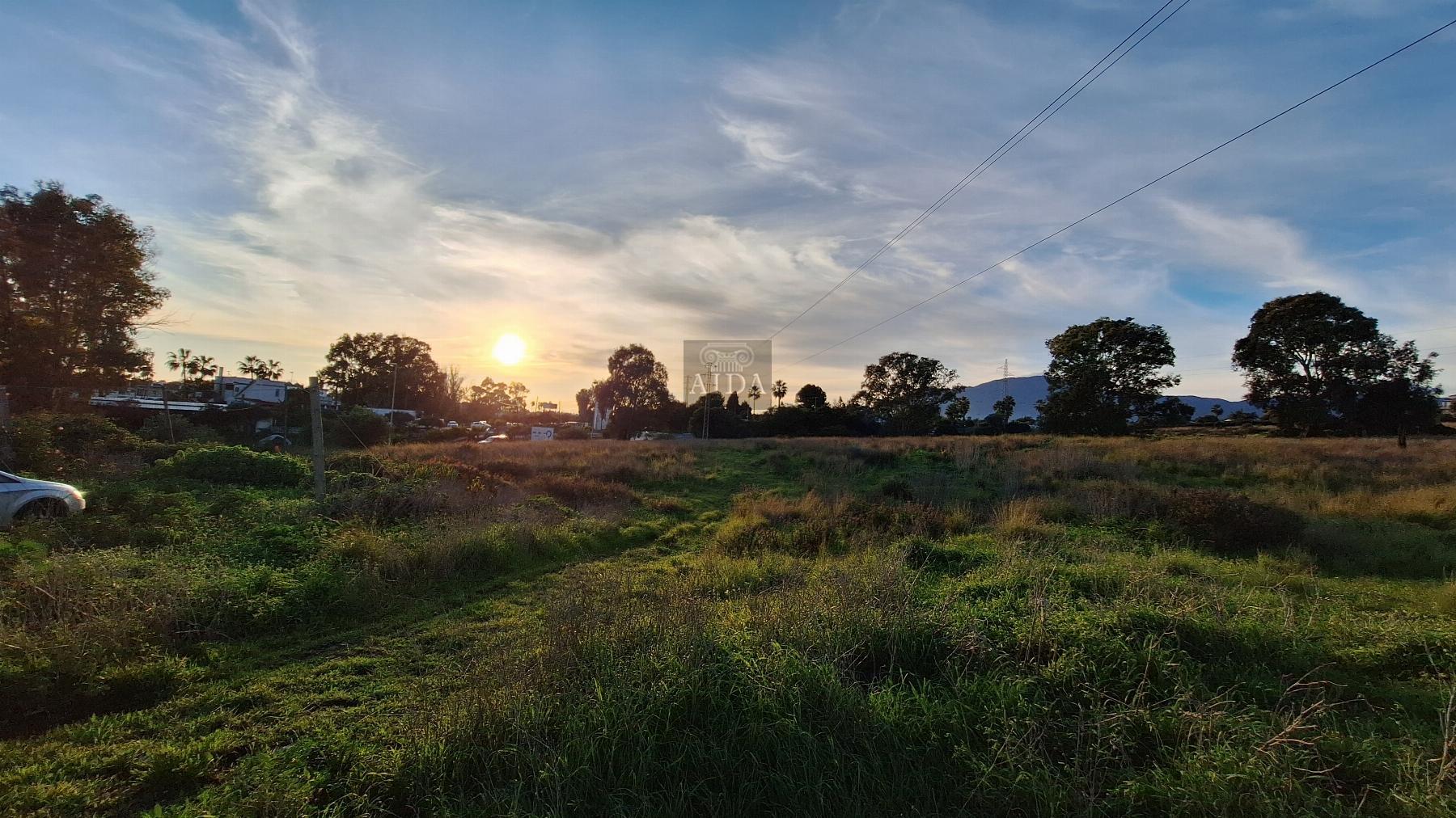 Venta de finca de recreo en Estepona