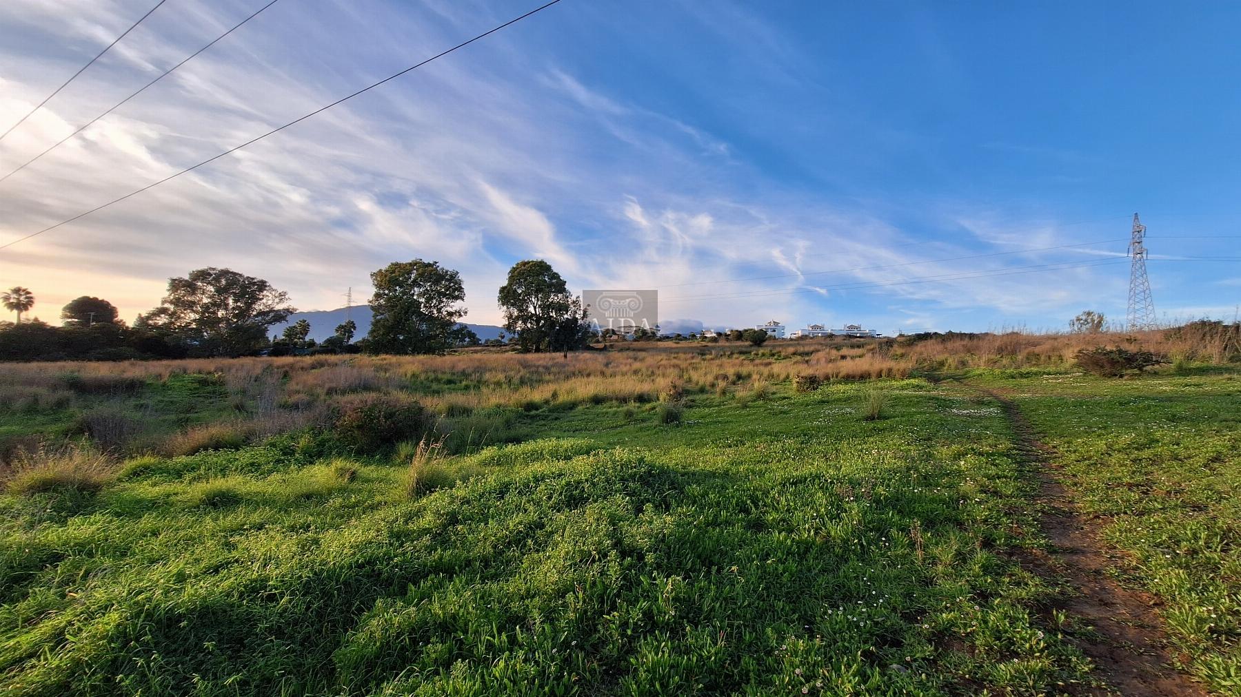 Venta de finca de recreo en Estepona